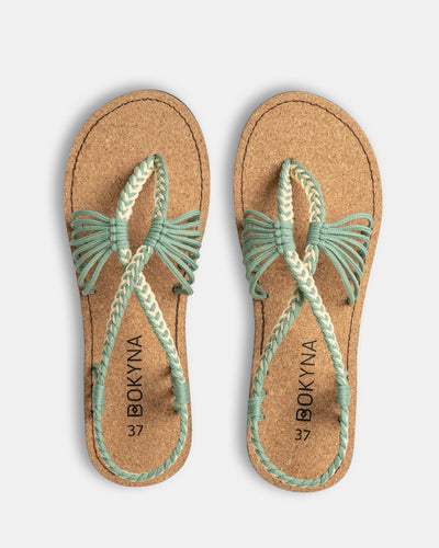 SEASTAR – Pistachio