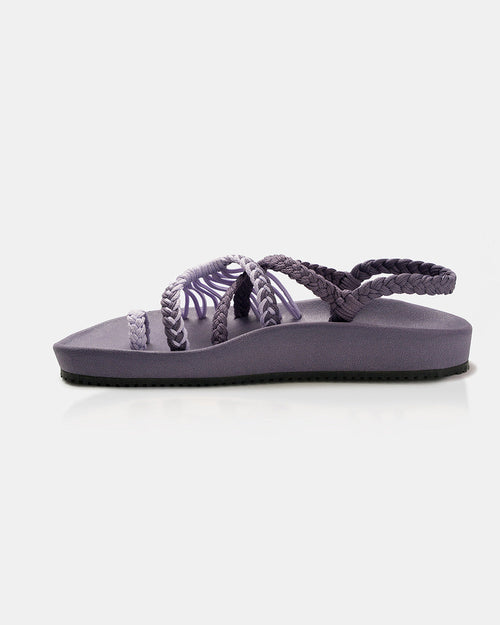 ELEVATE – Purple
