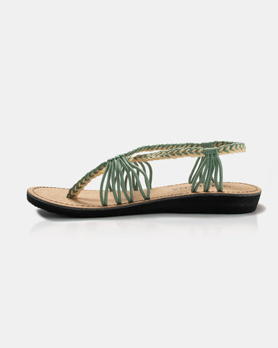 SEASTAR – Pistachio