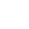 100% SECURE CHECKOUT