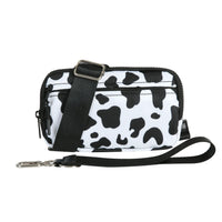 Black and White Cow